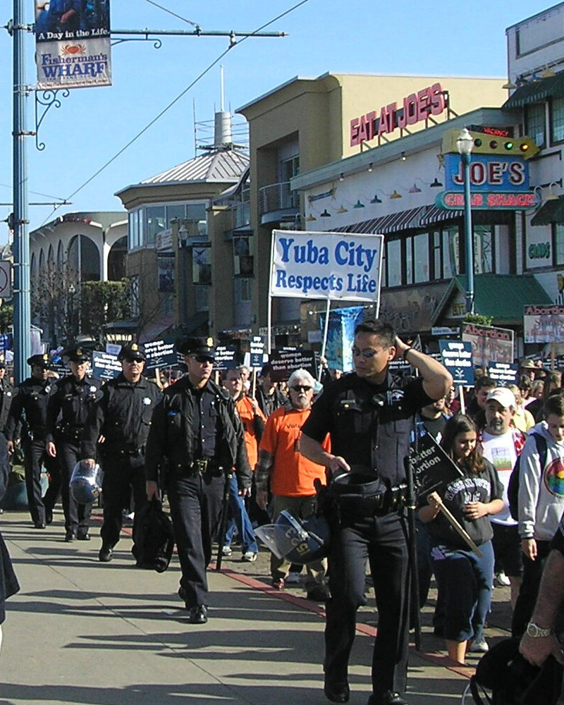 Walk For Life 2008 #4