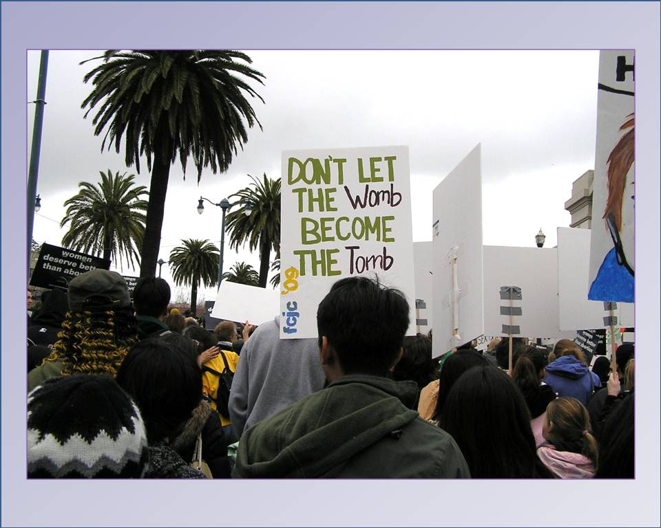 Walk For Life West Coast 2009  photo 4