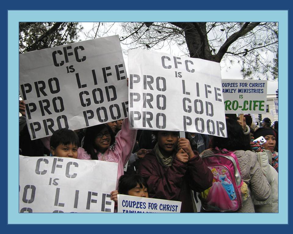 Walk For Life West Coast 2009  photo 7