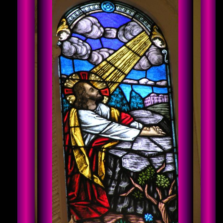 Michele's montage with NDV stained glass